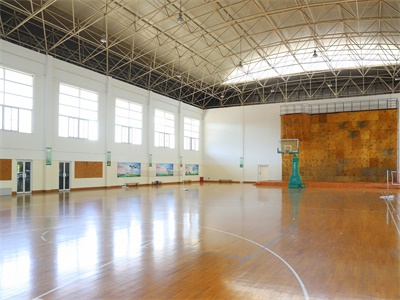室內(nèi)球場