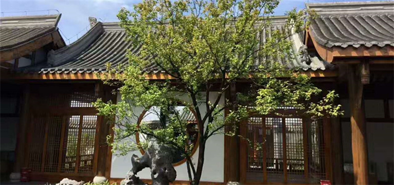 學校環(huán)境